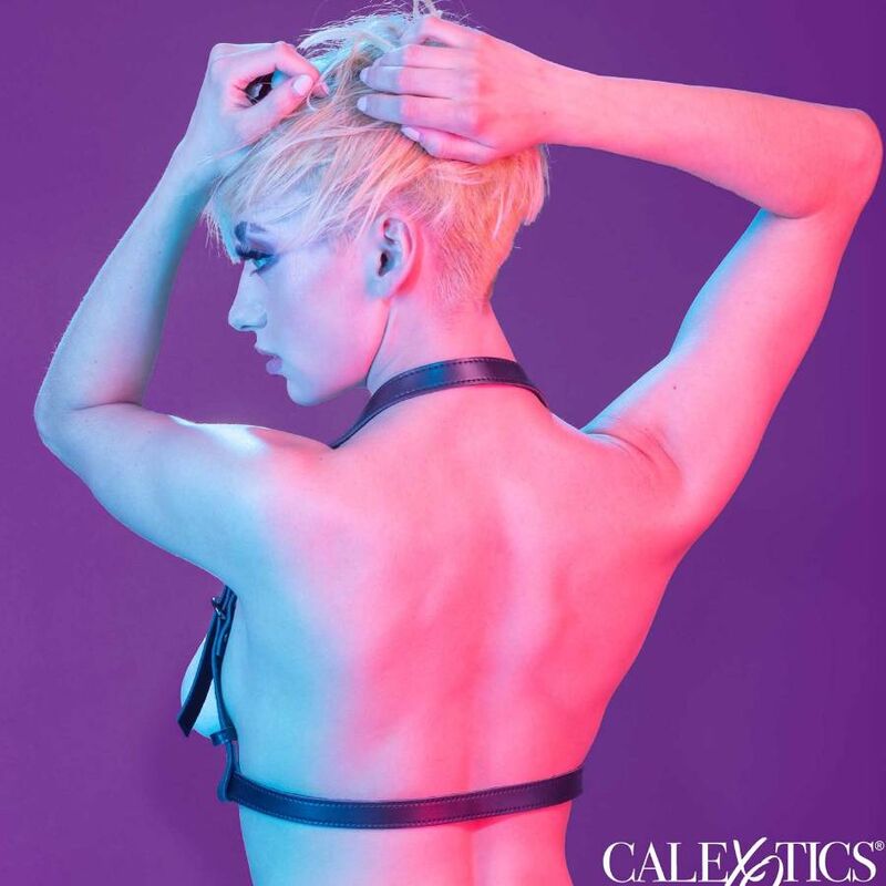 Harnais Euphoria Boucle Licol Noir - CalExotics