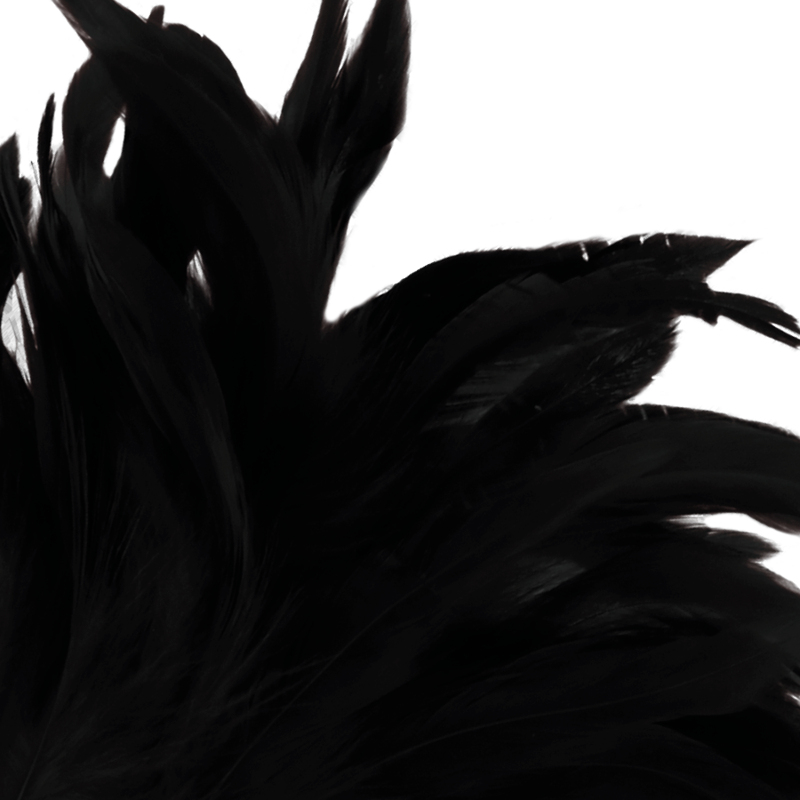 Darkness Plumeau érotique Noir 24cm