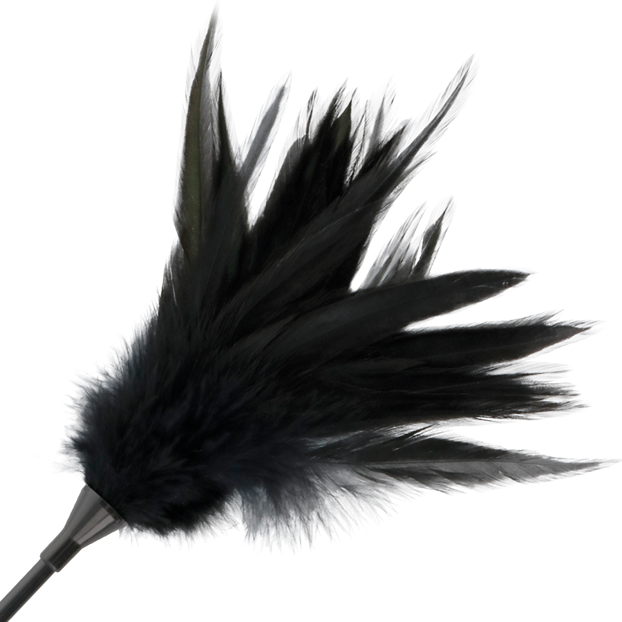 Darkness – Cravache Double Face avec Plumeau Noir – 48 cm