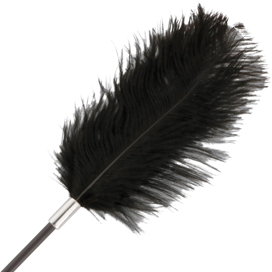 Darkness – Cravache Double Face avec Plumeau Noir – 56 cm