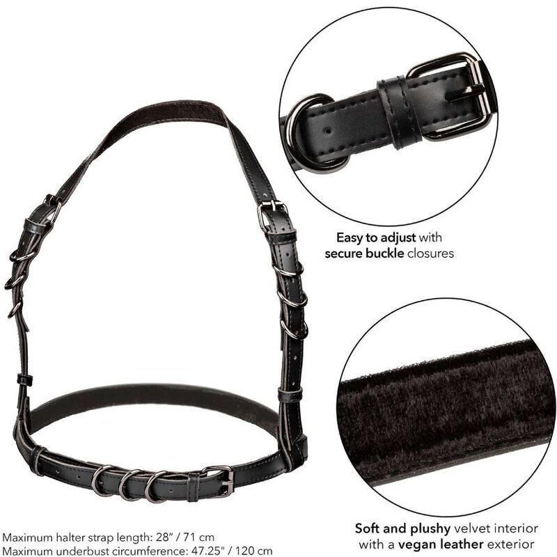 Harnais Licol Euphoria Taille Plus Noir - CalExotics