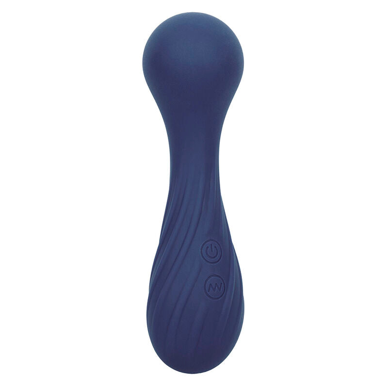 Masseur Vibrant Charisma Temptation Violet - Calexotics