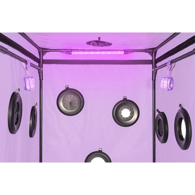 Secret Dome - Cabine BDSM ’Bondage box’ Scandale - Violet et Noir
