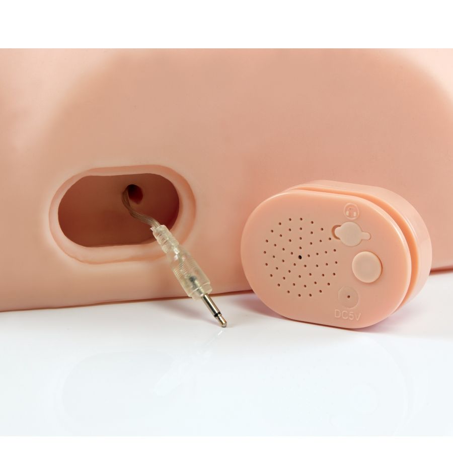 Masturbateur Interactif PDX Male Baisez-le Silly - PDX